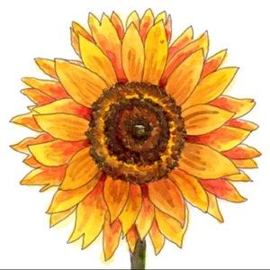 Meet your Posher, Connie